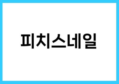 [미용] 스네일은 피치스네일에서, 정보공개서 등록